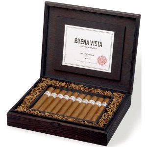 20 Buena Vista Toro