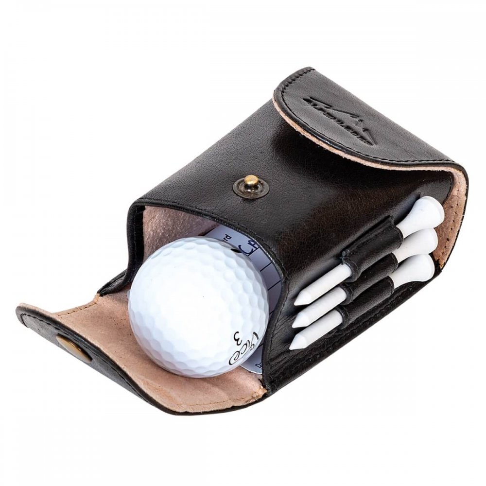 Golf Ball Case